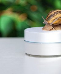 Snail Mucin